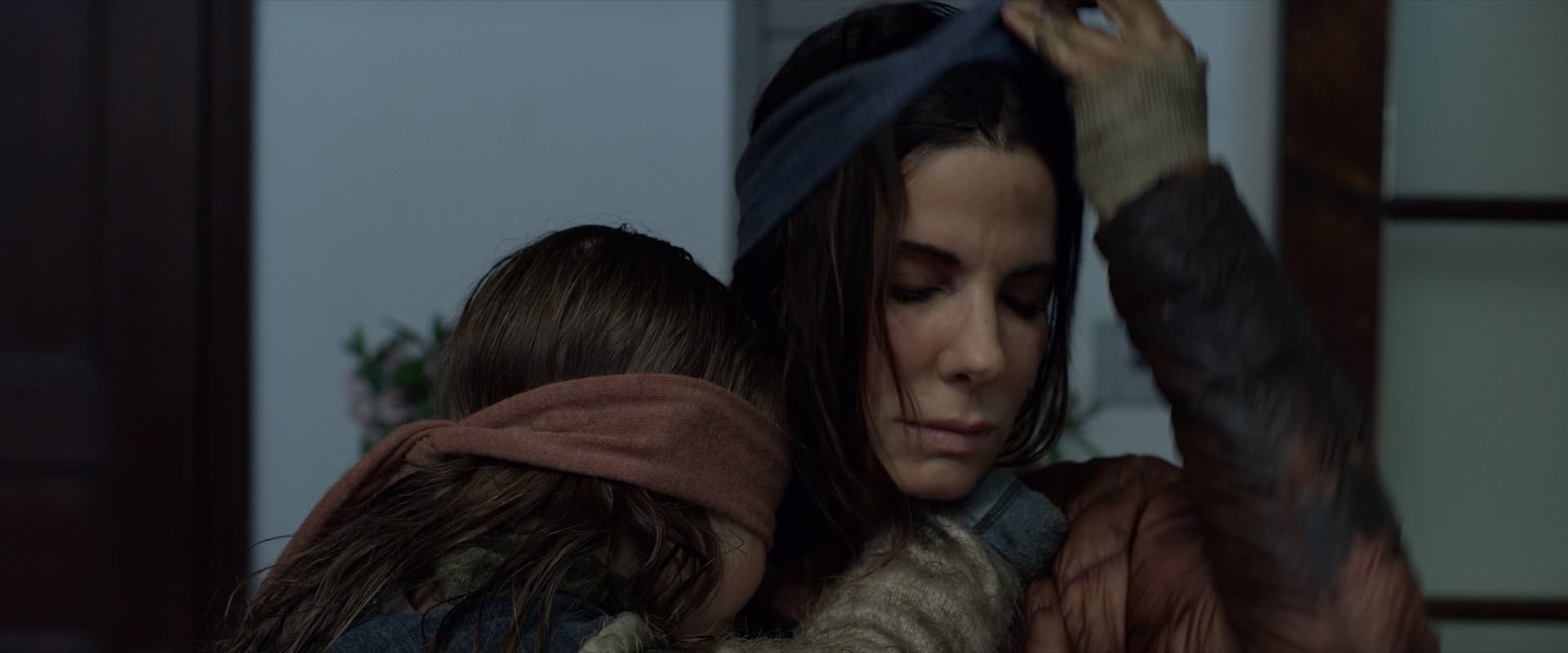 2019-BirdBox-1282.jpg