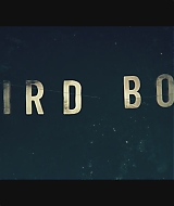 SBO-BirdBox_142.jpg